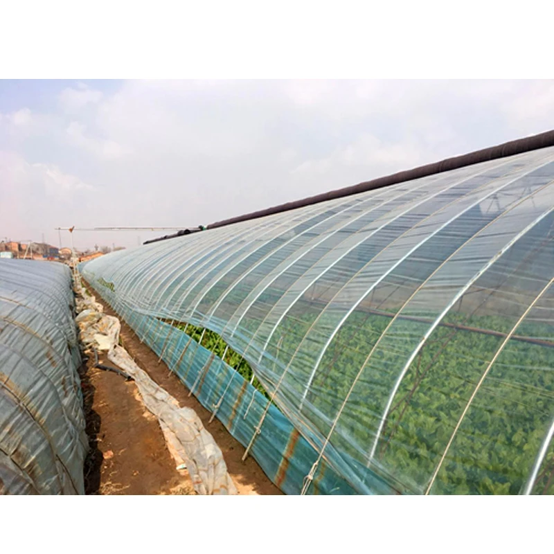 Plastic sheet greenhouse cover agriculture polyolefin (PO) films