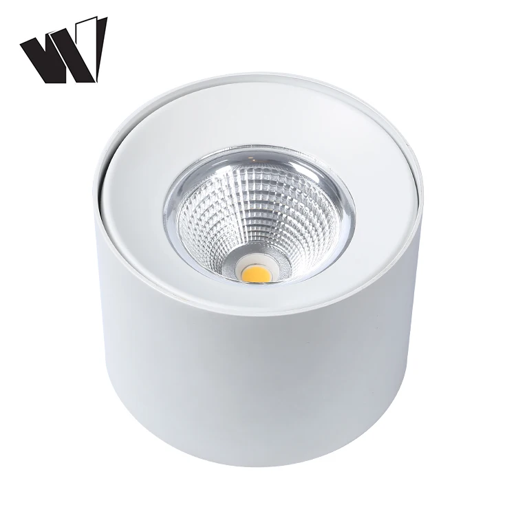 Manufacturer cheap 240 volt ceiling lighting for hotelr COB 6w 9w 12w 15w 20w 24w 30w 36w led lamp