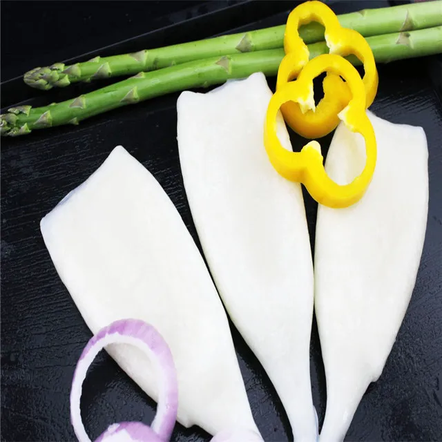 
frozen squid tube illex squid 