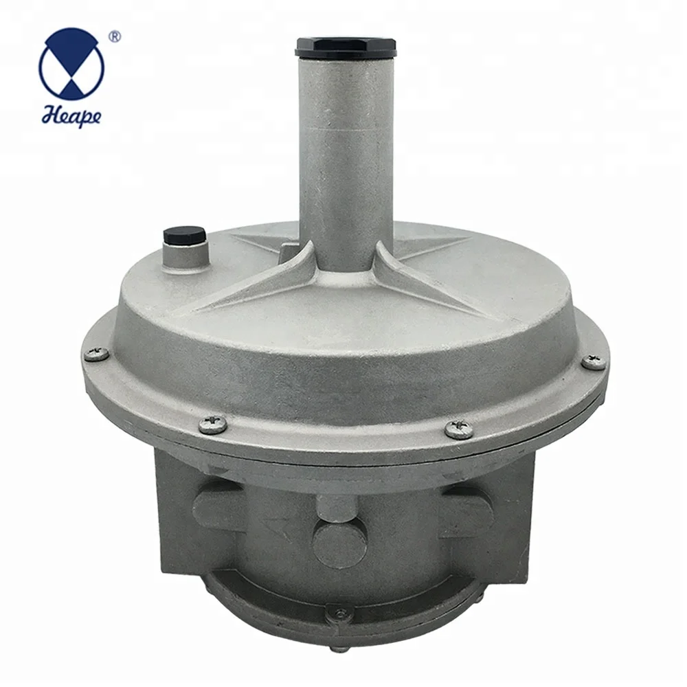 
HEAPE 2 Bar Multifunction Gas Pressure Regulator with Filter DN15-DN50 Dry Gases OEM and ODM 30days CN;ZHE HPNR05 