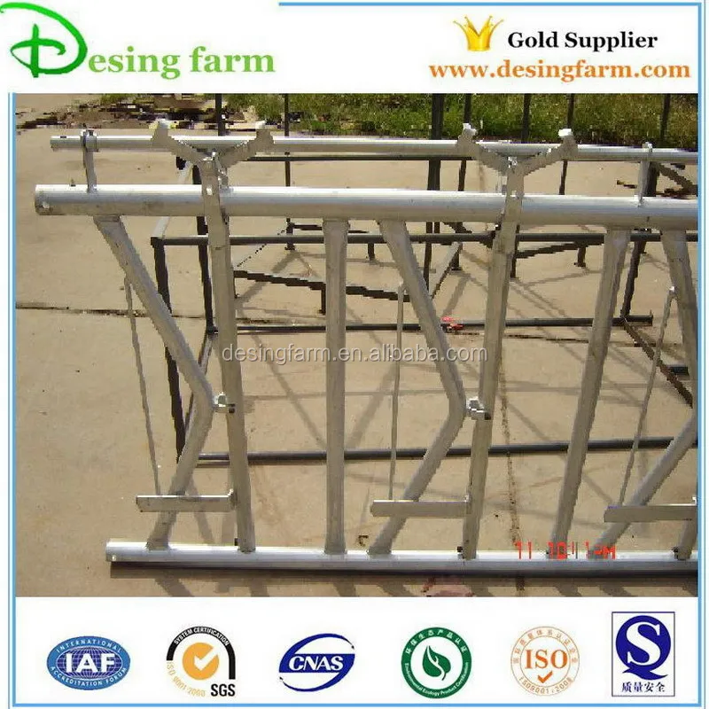10ft hot dip galvanized dairy cow headlock