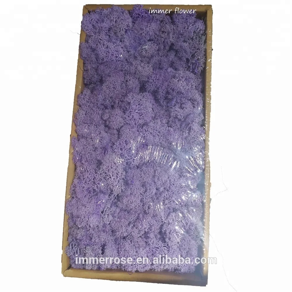 
Top quality Stabilized Moss Wholesale Preserved Moss From Kunming China 