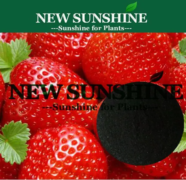 Seaweed Extract Powder Price