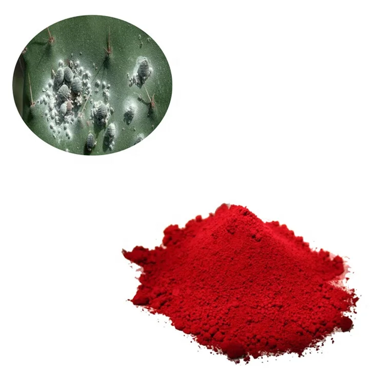 Top Quality Cochineal Red Extract Powder Carmine Food Dye with MOQ 1KG