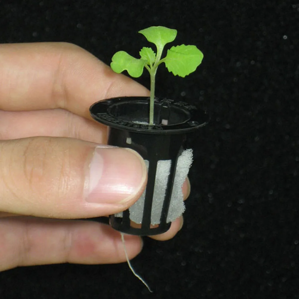 2022 Hot Sale Black White Planting Aquaponics Plastic Hydroponic Net Mesh Pot