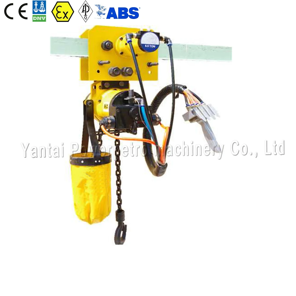 
1t-50t Pneumatic Chain Hoist Lifting Cargo Air Hoist Used for Mining 