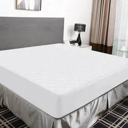 hypoallergenic natural 100% polyester soft coral fleece fabric mattress protector fitted sheet style  vinyl free