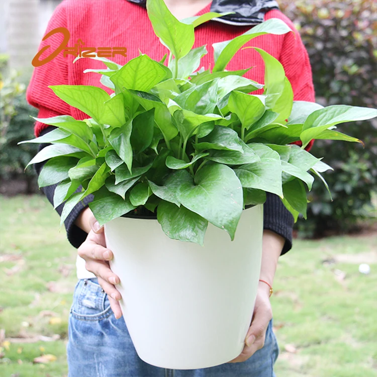 Plastic flower pots wholesale modern style train plastic self watering outdoor green plants with cheap price