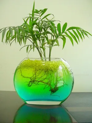 water storing jelly crystal mud soil