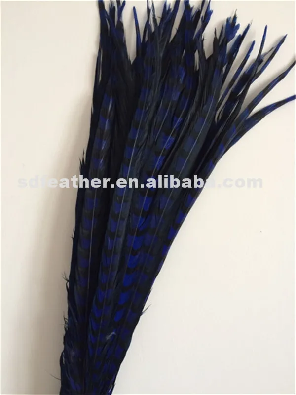 
manufacturer supplier dyed long reeves pheasant tail feathers for carnival festival 