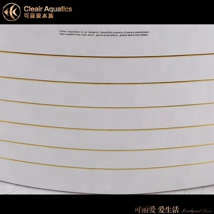 Large Acrylic Aquarium Fish Tank  Back Cycle Back Filter In The Tank