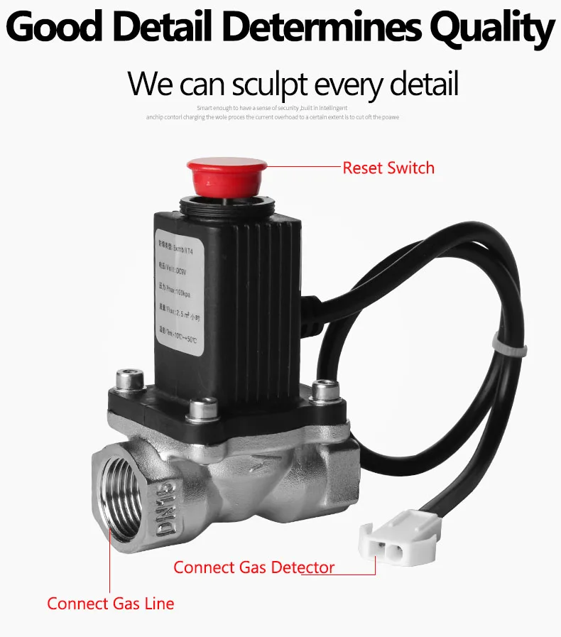 LPG Cooking Natural Gas Safety Regulator