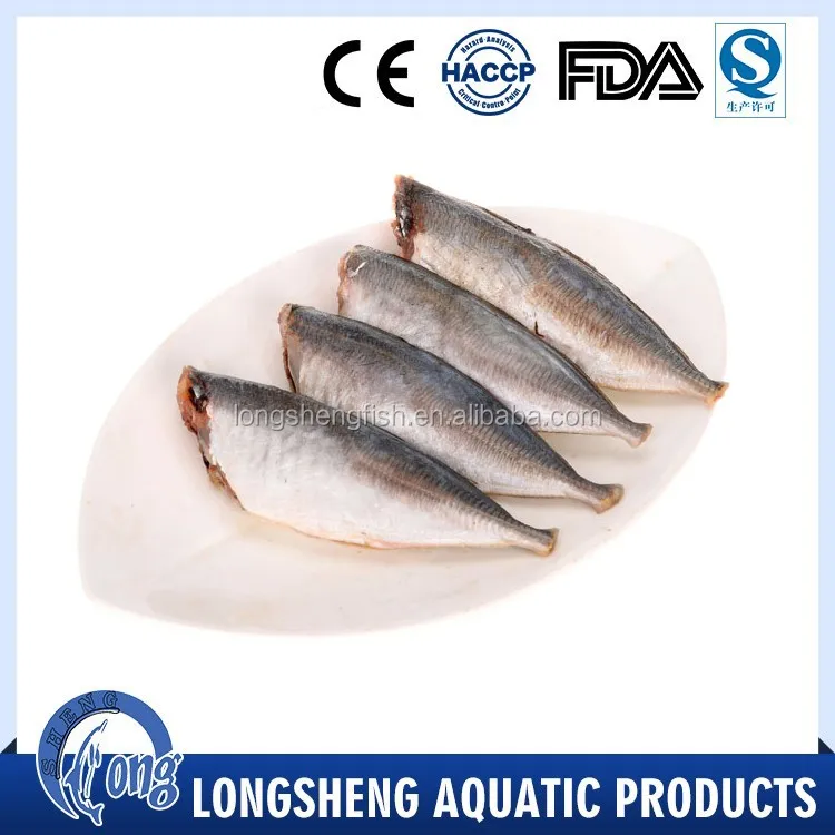 
Hot Selling Cheap Price Trachurus Japonicus Frozen Horse Mackerel 