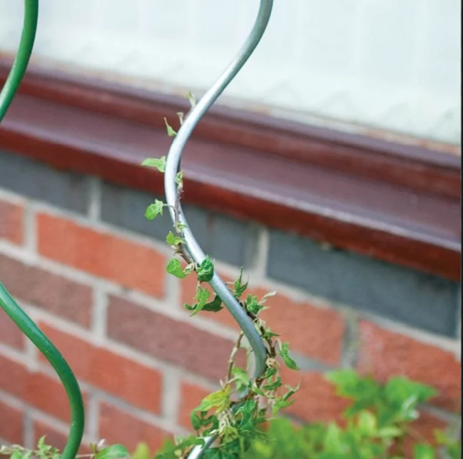 Китайский томатный спиральный колпачок 8 мм 1 5