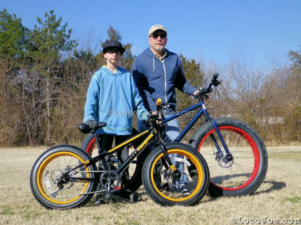 
china alibaba electric bike brushless motor/fatbike mountain bike 