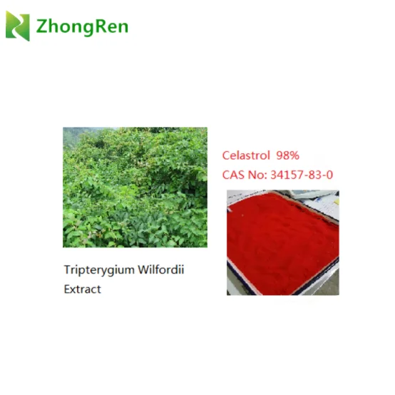 Powder form and drum packaging natural Celastrol powder, Celastrol / Tripterine 98%