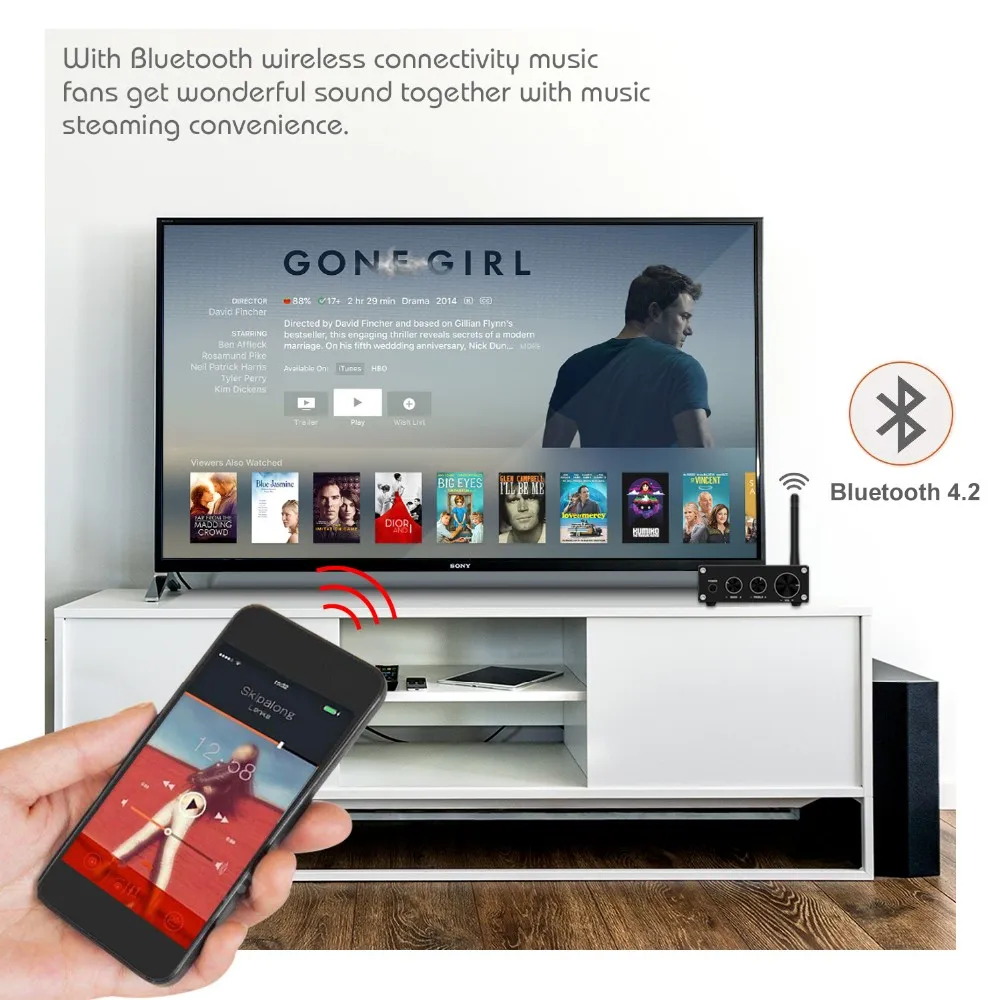 2 Channel Class D stereo mini portable amplifier with power supply and BT