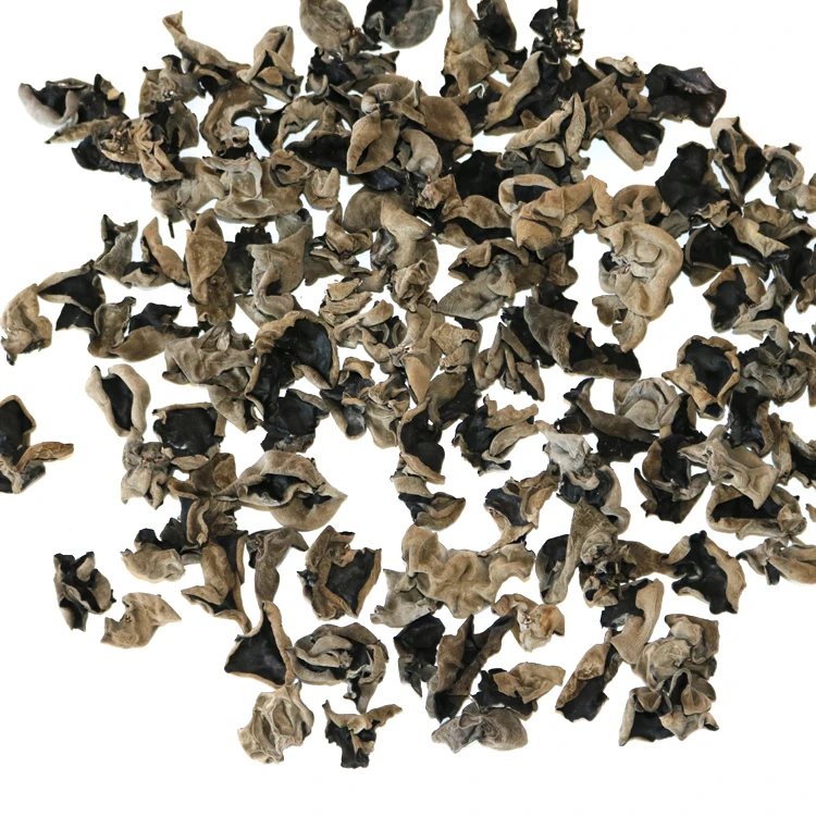 
dried polysaccharide fungus mushroom black agaric 