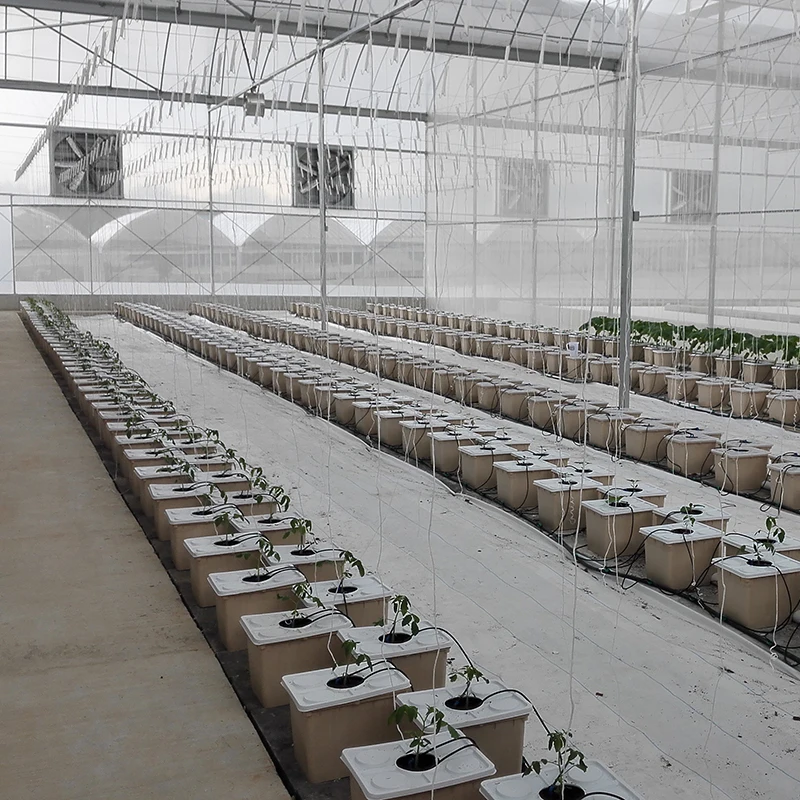 
Ultraviolet-Proof Plastic Film Agricultural Greenhouse For Tomato Production 