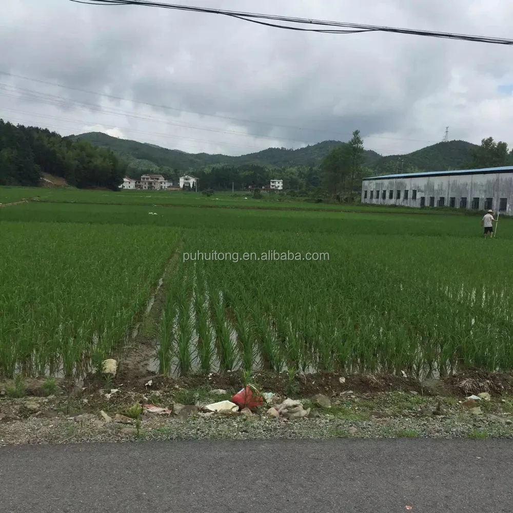 Insect hotel with bark/ Hive bee boxes