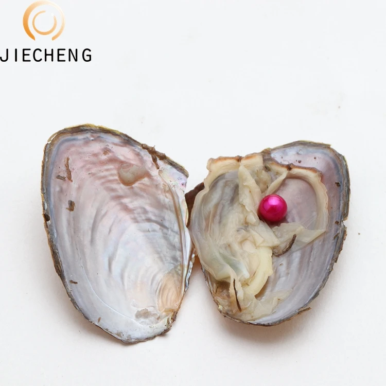 2018 оптовая продажа устричный жемчуг 7-8 мм Пресноводный Жемчуг