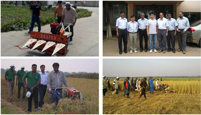 Miwell 4G100 Wheat Cutting Machine Alfalfa Rice Reaper for Maize Stevia