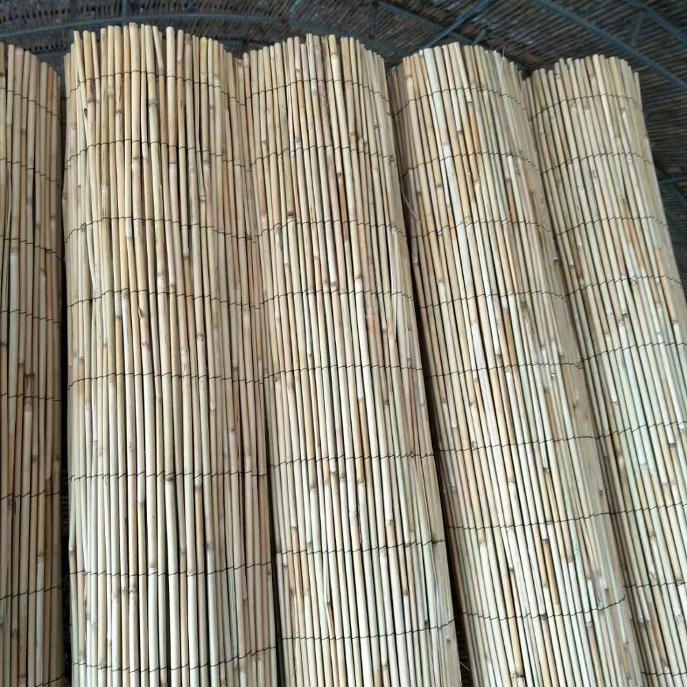 natural reed screen