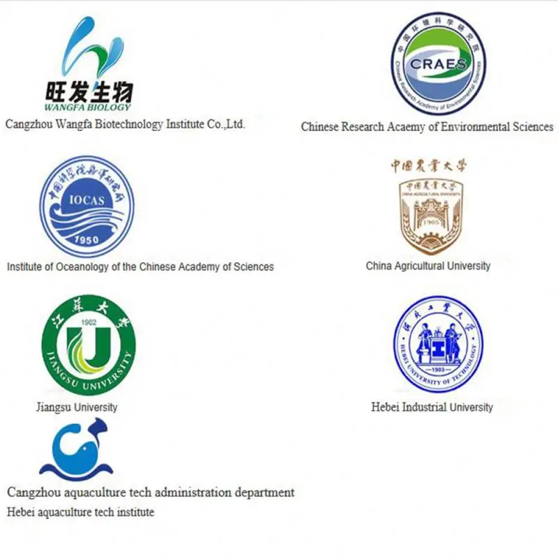 Feed additive egg layer products , chicken , duck , goose