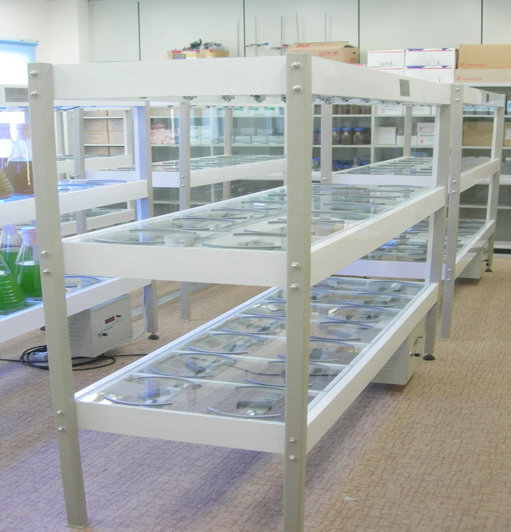 chlorella,microalgae, algae culture for algae storage rack