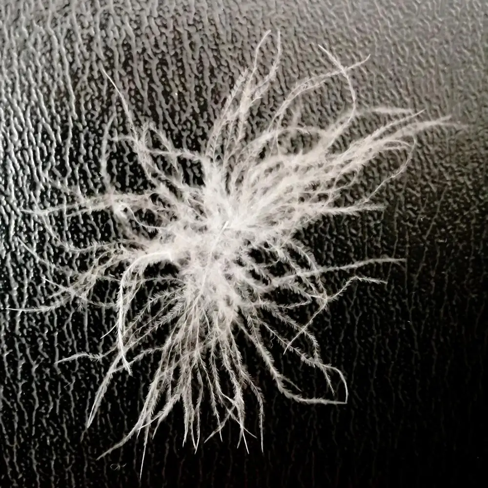 
Washed White Duck Down 80% Filling Material For Down Coat And Down Jackets 