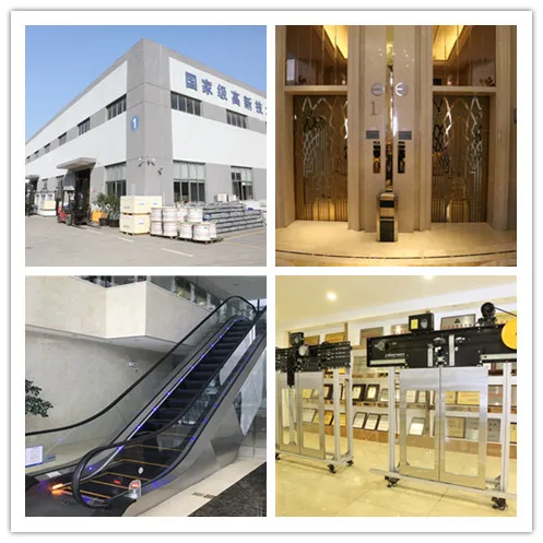 Professional Service Hydraulic Series  Home Elevator Lift for Sale