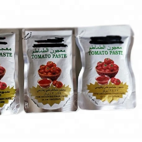 import tomato paste 70g in pouch from Xinjiang China