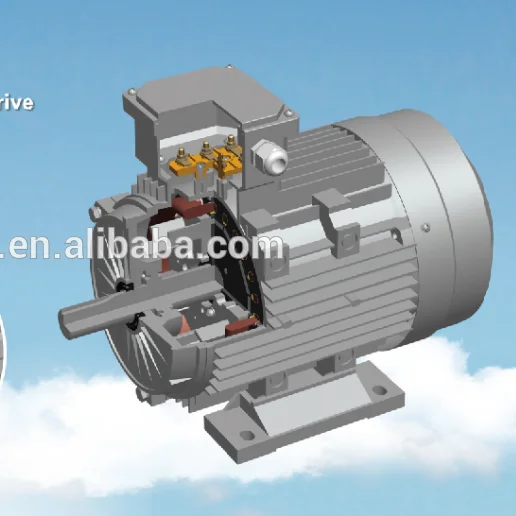 
AC pmsm permanent-magnetic asynchronous starting motor 
