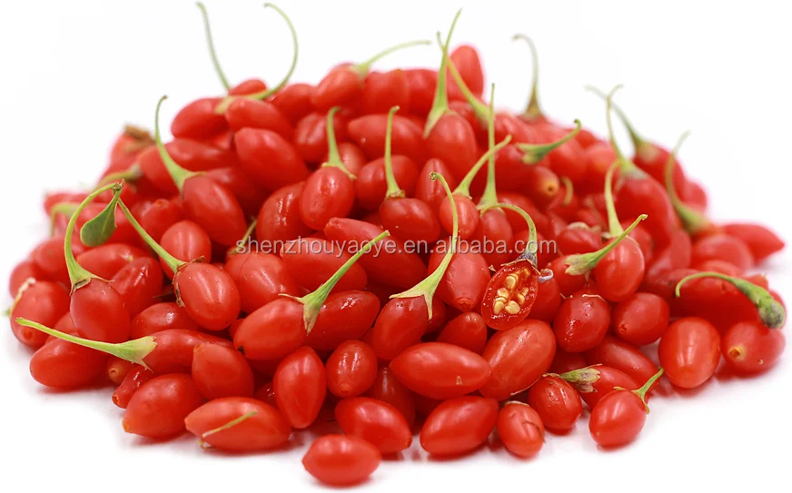 
Shenzhou Organic Goji Berries Noticeably Larger And Juicier 