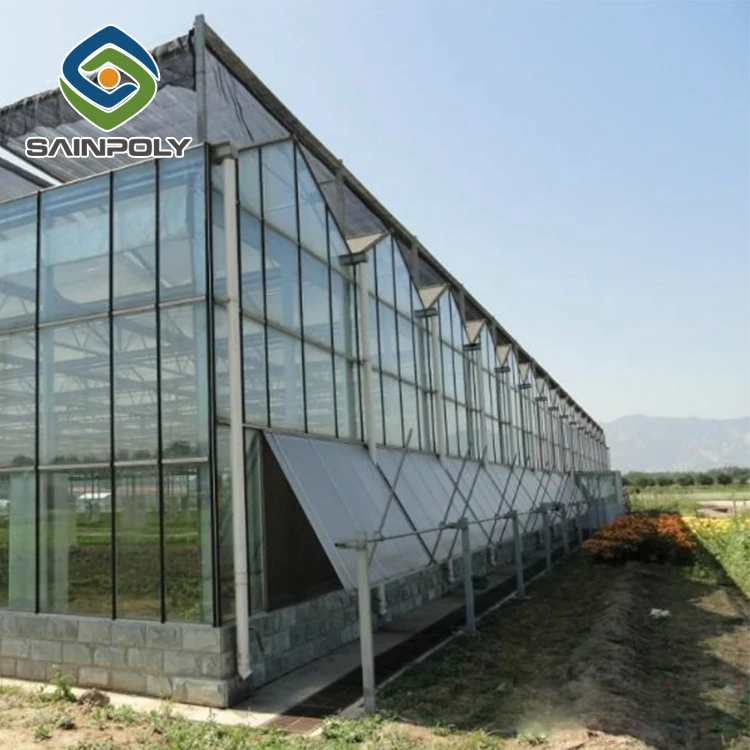 low cost agriculture glass greenhouse tent for sale
