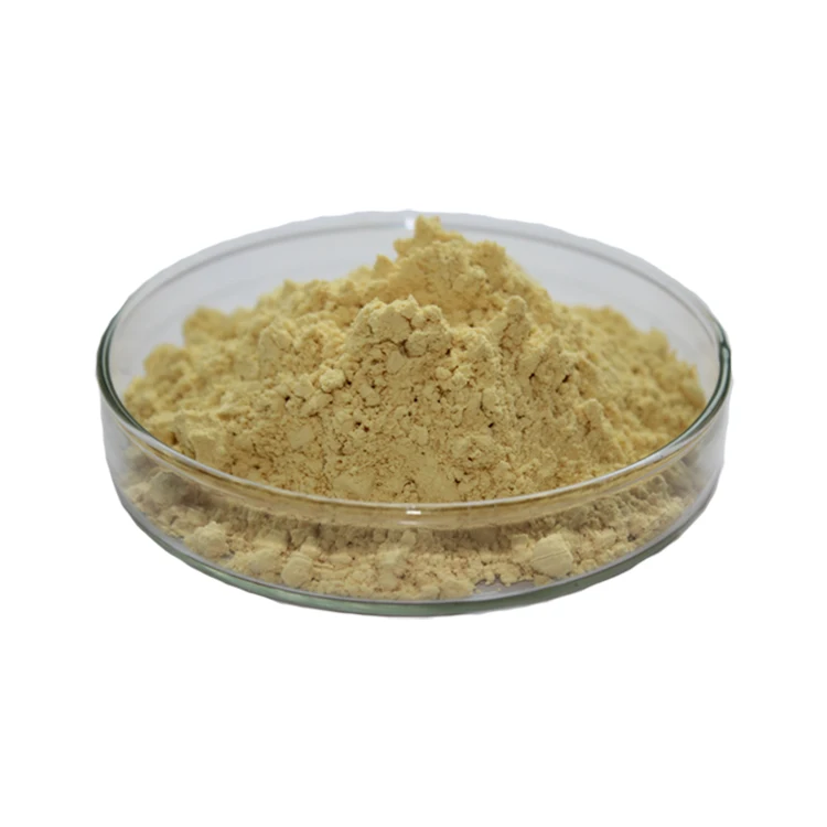
Panax ginseng root extract ginsenoside 80% powder 