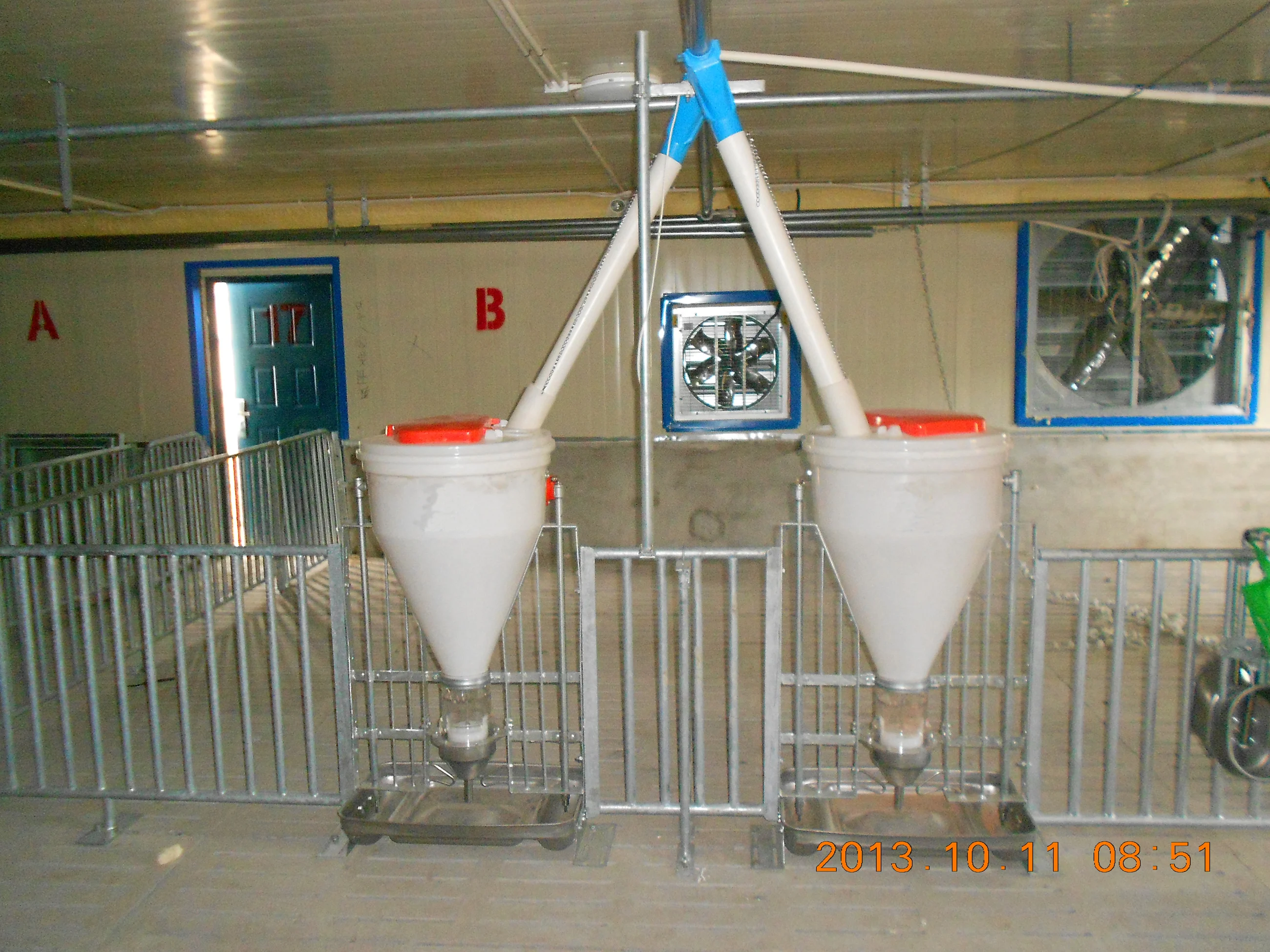 plastic automatic pigs equipment feeding trough for pigs