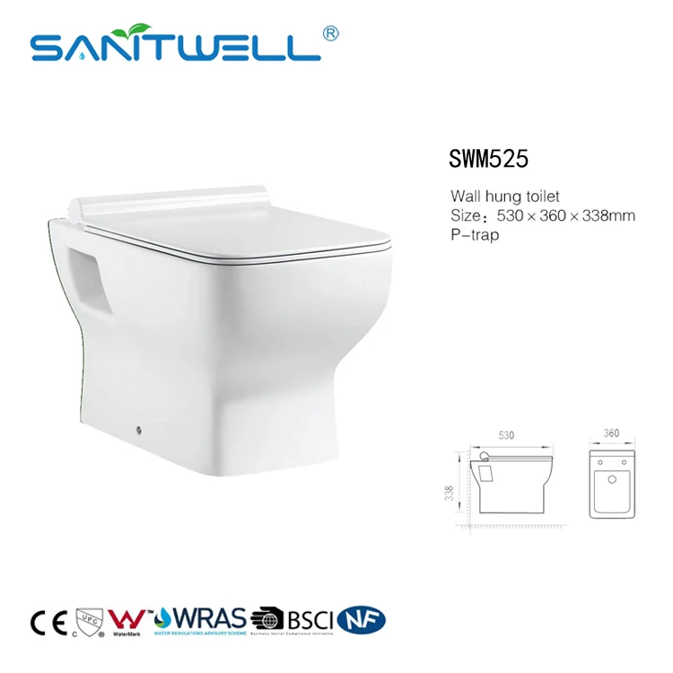 Promotional But Not Expensive Ceramic Wall Hung Washdown Toilet with Special Soft Cover