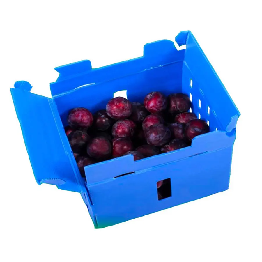 Fruit /Vegetable Packing Corrugated Plastic Box