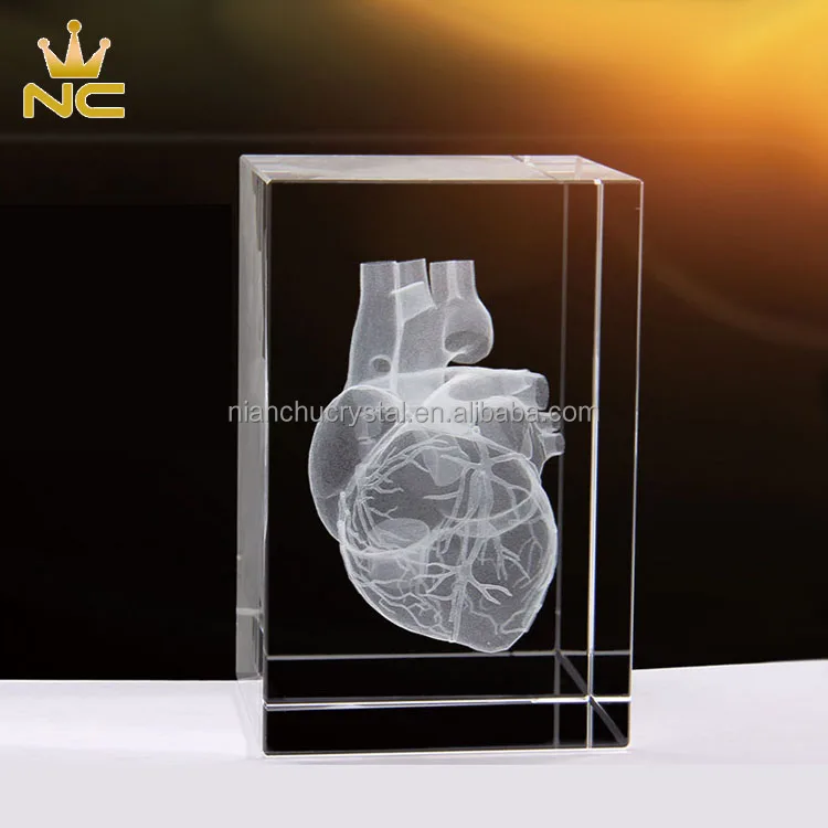 Heart Anatomy Model Design Cube Crystal 3D Laser Crystal Engraving With Detailed Visible Blood System