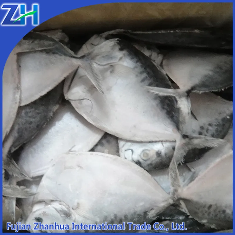 Горячая распродажа замороженные moonfish помфрет