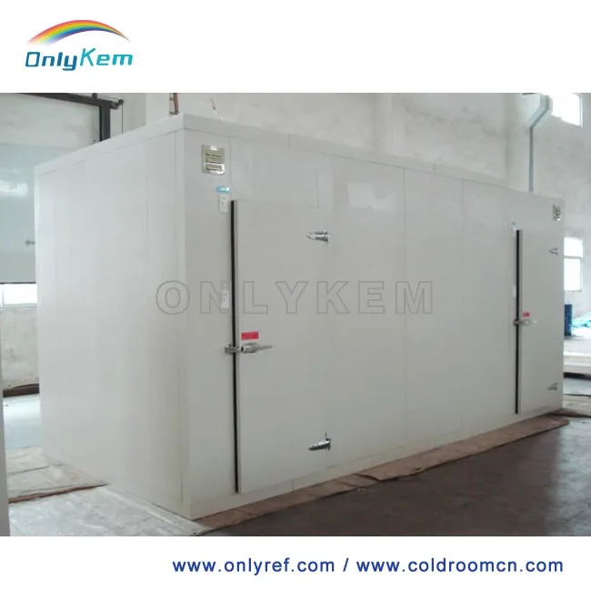 Холодная комната, холодного хранения для лук, шоковой заморозки