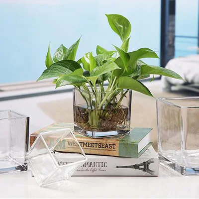 square glass pot for water plants/clear glass vase for flower arrangement/wedding favor table decoration centerpiece