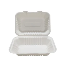 Biodegradable White Bagasse 1000ml 9x6 Inch Takeout  Food Container