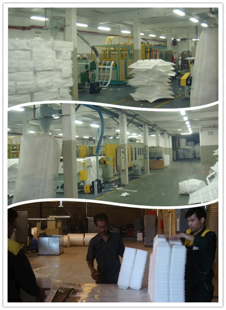 HEXING Fully Automatic Disposable Plastic Foam Plates Making Machine