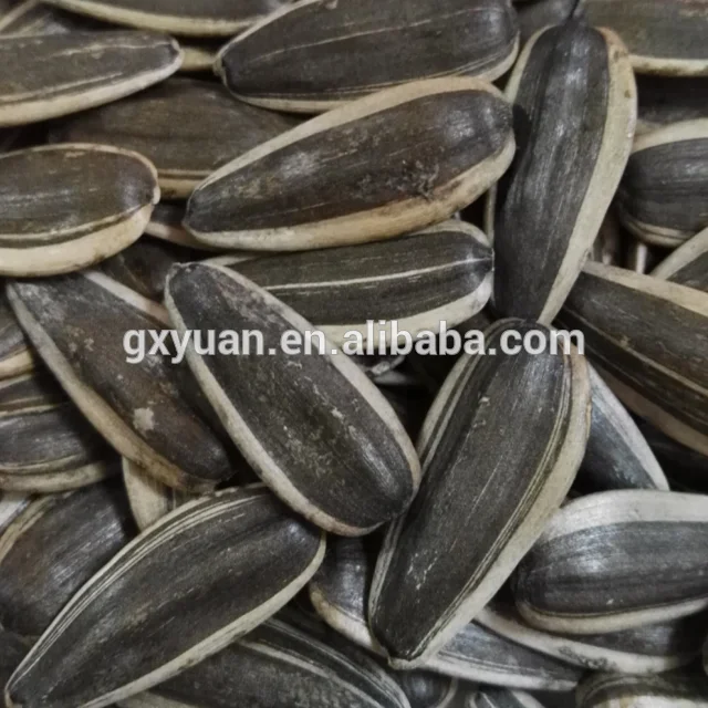 
Factory price wholesale new crop sunflower seeds in shell 361type with big size 