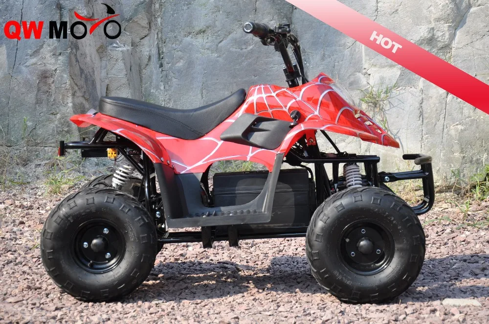 Brushless Motor 500W 48V Electric Mini ATV for Kids