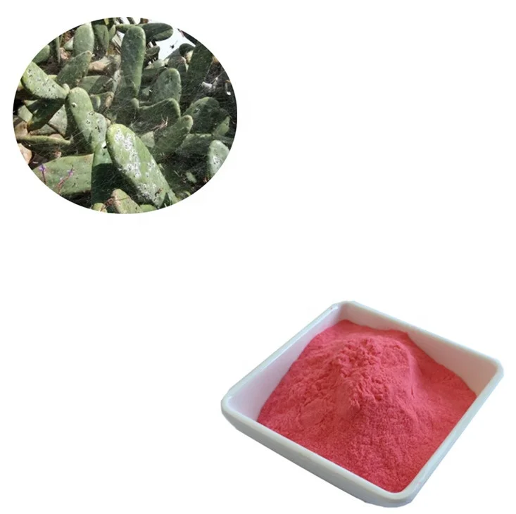 Top Quality Cochineal Red Extract Powder Carmine Food Dye with MOQ 1KG