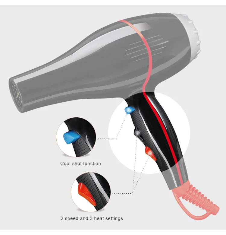 PRITECH Fashion Customized 2 Speed And 3 Heating Ac Motor Professional Salon Hair Blower Dryer
