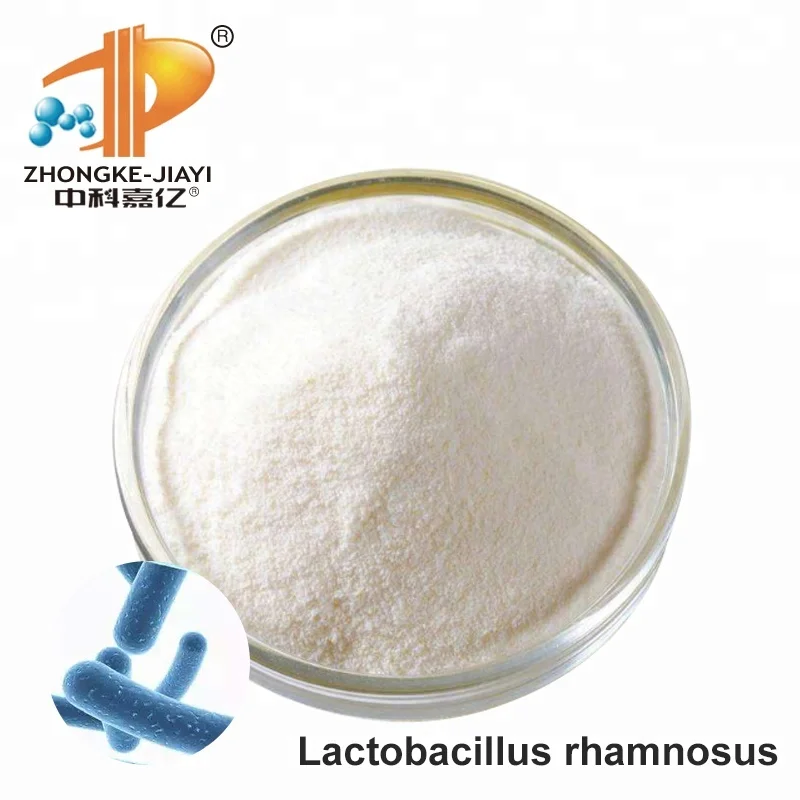
Probiotics Bacillus Lactobacillus Casei powdered Healthcare Supplements 